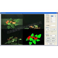 圖像處理視覺檢測軟件定制：花卉評級系統(tǒng)軟件